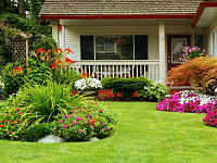 ���������� ���������, �������