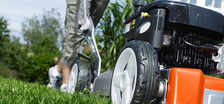 ���� ������� ������ �� ��������� ������� �������