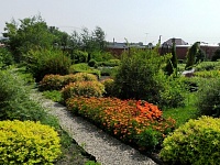 ���������� ���������, �������